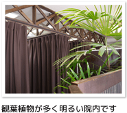 観葉植物が多く明るい院内です